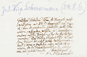 Vorschaubild von Brief an Julia Virginia Scheuermann