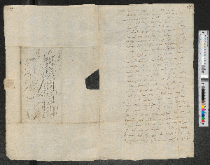 Vorschaubild von Brief von Ernst von Steinberg