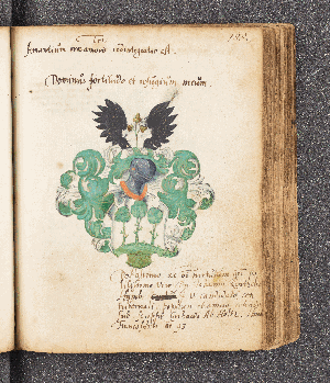 Vorschaubild von Gerhardus von Holtz. – Incipit: Amantium irae amoris redintegratio est [Terenz]. – Frankfurt, 1593