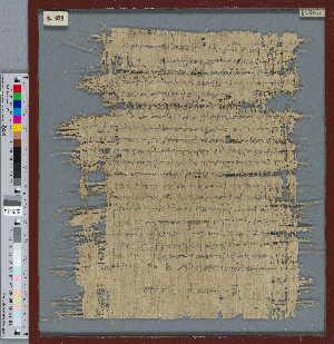 Vorschaubild von Fragment eines Zenon-Papyrus