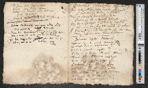 Vorschaubild von Burcardus Schlauhoffius. Johannes Textor Niddanus