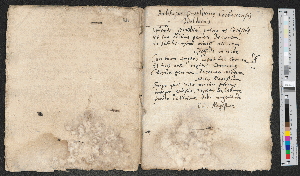 Vorschaubild von Balthasar Ortwinius Corbaccensis Waldecus