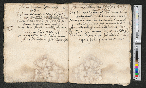 Vorschaubild von Johannes Schwinghorn Echzellanus Wedderavius