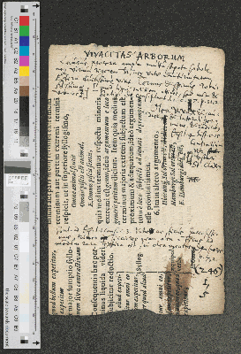 Vorschaubild von [Fragment eines Blatts aus der Logica Hamburgensis (?)]