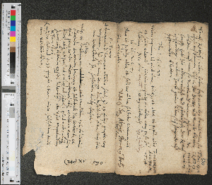 Vorschaubild von Foliorum Gradus. Foliorum Accidentia