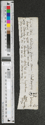 Vorschaubild von Belvedere, divisio nervorum foliorum