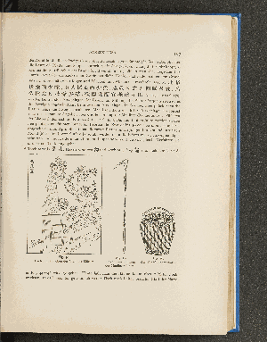 Vorschaubild Seite 167