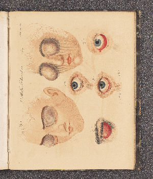 Vorschaubild Seite  - 
