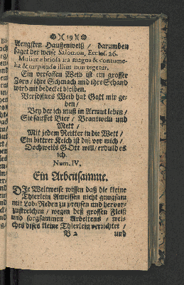 Vorschaubild Seite 19