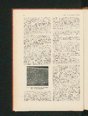 Vorschaubild Seite 34