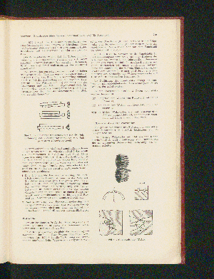 Vorschaubild Seite 279
