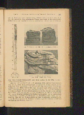 Vorschaubild Seite 243