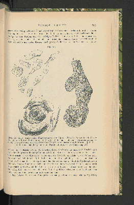 Vorschaubild Seite 891