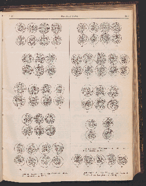 Vorschaubild Seite 1145