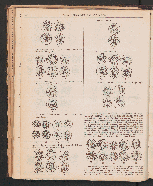 Vorschaubild Seite 1147