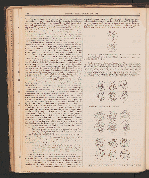 Vorschaubild Seite 1155