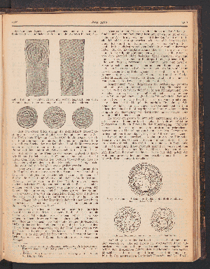 Vorschaubild Seite 1499
