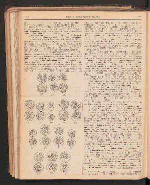 Vorschaubild Seite 1721