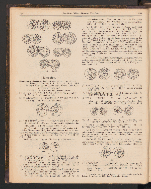 Vorschaubild Seite 1801