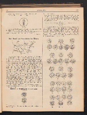 Vorschaubild Seite 1895