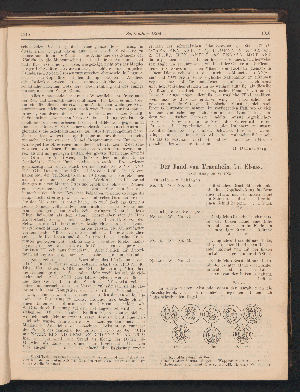 Vorschaubild Seite 1915