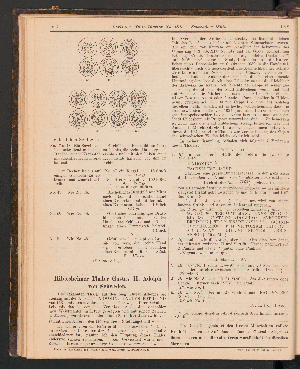 Vorschaubild Seite 1917