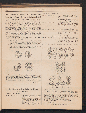 Vorschaubild Seite 1923