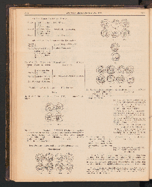 Vorschaubild Seite 1957