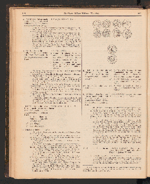 Vorschaubild Seite 1961