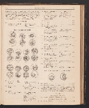 Vorschaubild Seite 2155