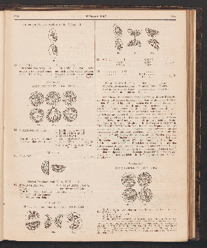 Vorschaubild Seite 2183