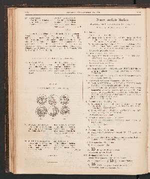 Vorschaubild Seite 2185