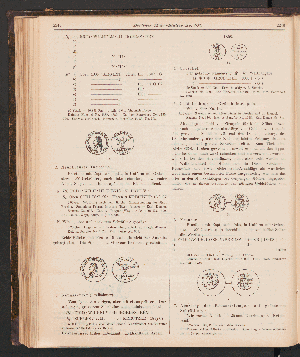 Vorschaubild Seite 2245