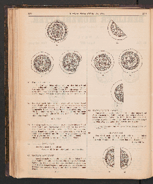 Vorschaubild Seite 2273