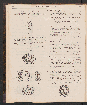 Vorschaubild Seite 2933