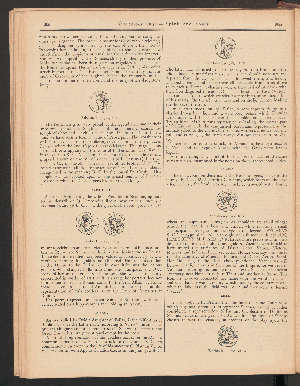 Vorschaubild Seite 1851 1852