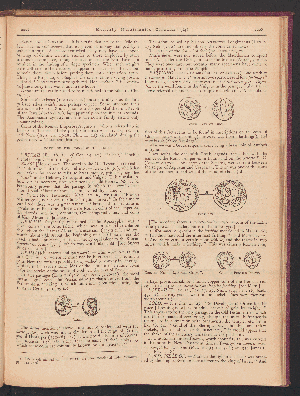 Vorschaubild Seite 2205