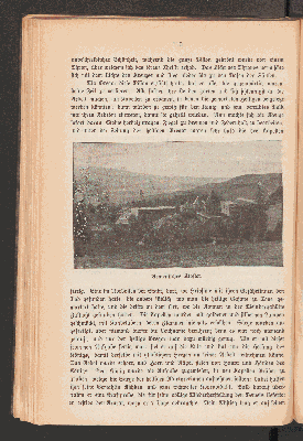Vorschaubild Seite 110