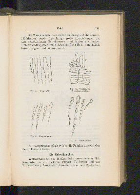 Vorschaubild Seite 171