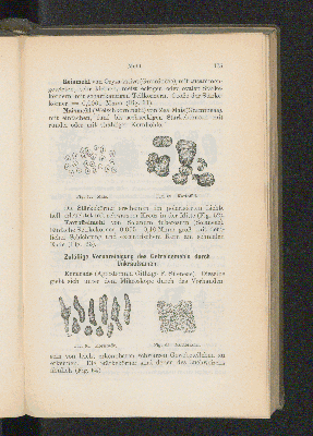 Vorschaubild Seite 175