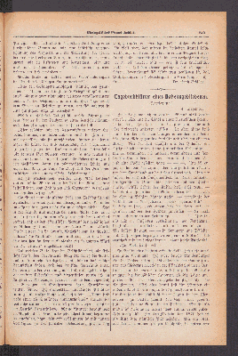 Vorschaubild Seite 249