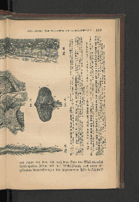 Vorschaubild Seite 169