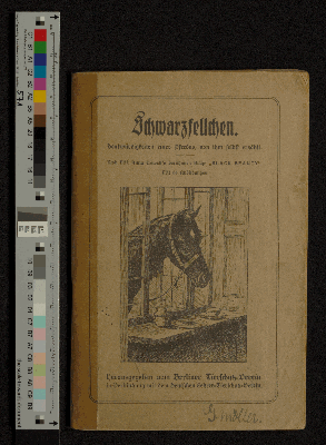 Vorschaubild Seite  - 