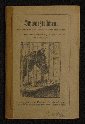 Vorschaubild Seite  - 