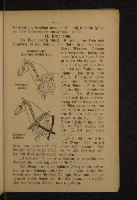 Vorschaubild Seite 41