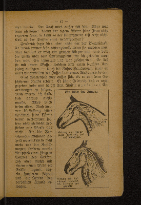 Vorschaubild Seite 47