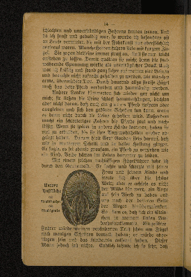 Vorschaubild Seite 54