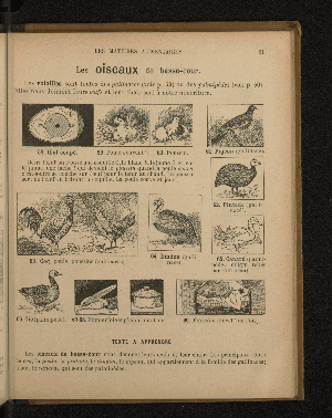 Vorschaubild von [Leçons de choses en 650 gravures]