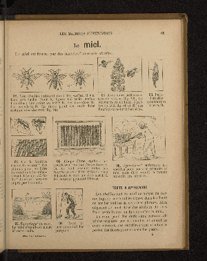 Vorschaubild von [Leçons de choses en 650 gravures]