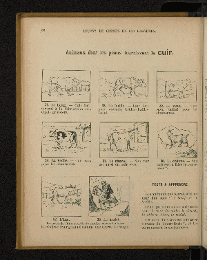 Vorschaubild von [Leçons de choses en 650 gravures]